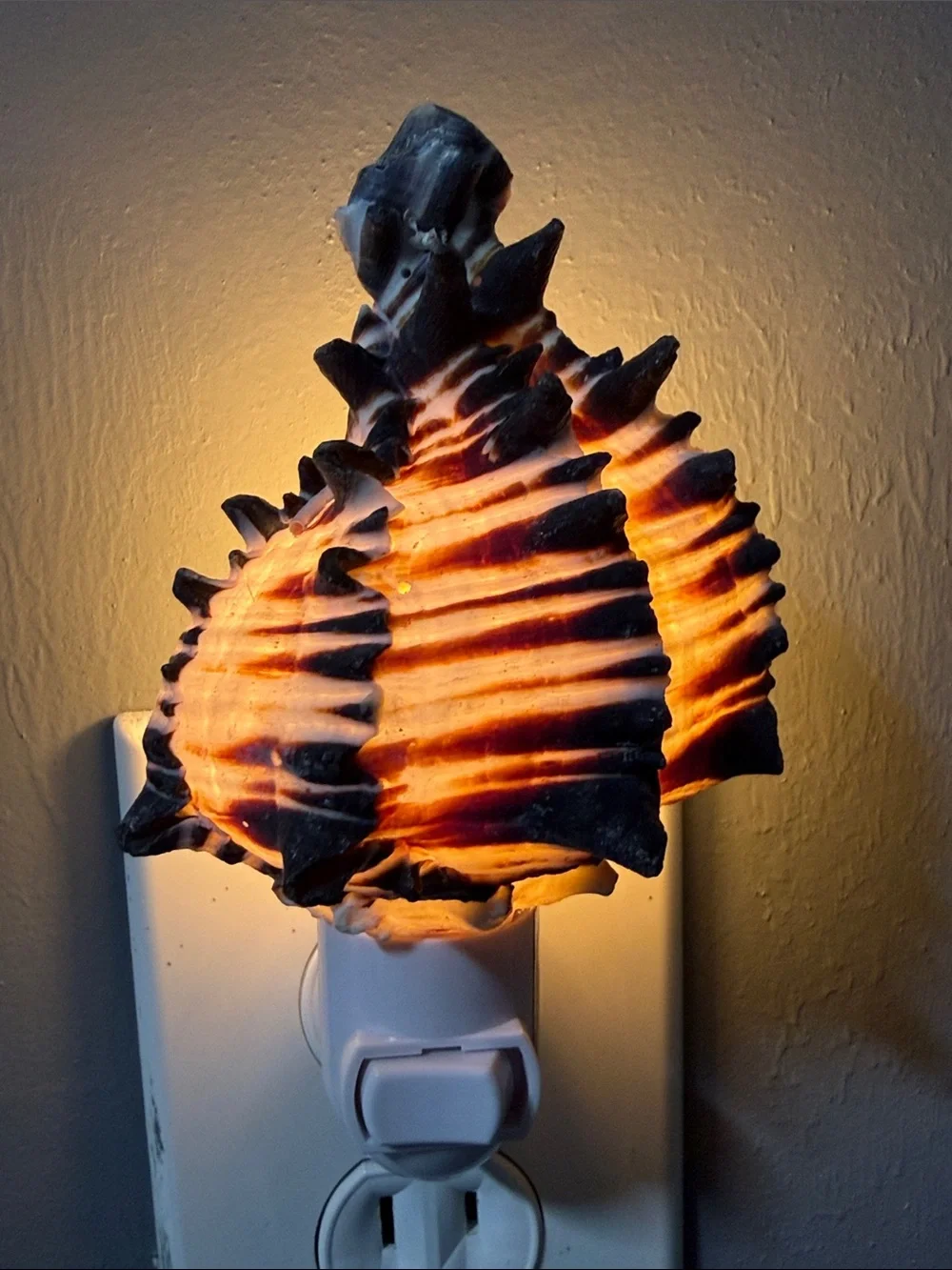 SeaShell Night Light - Wall decoration